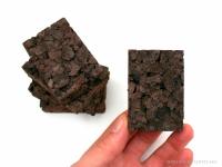 Tillandsia parafa 5db - epifita lap csomag 01.