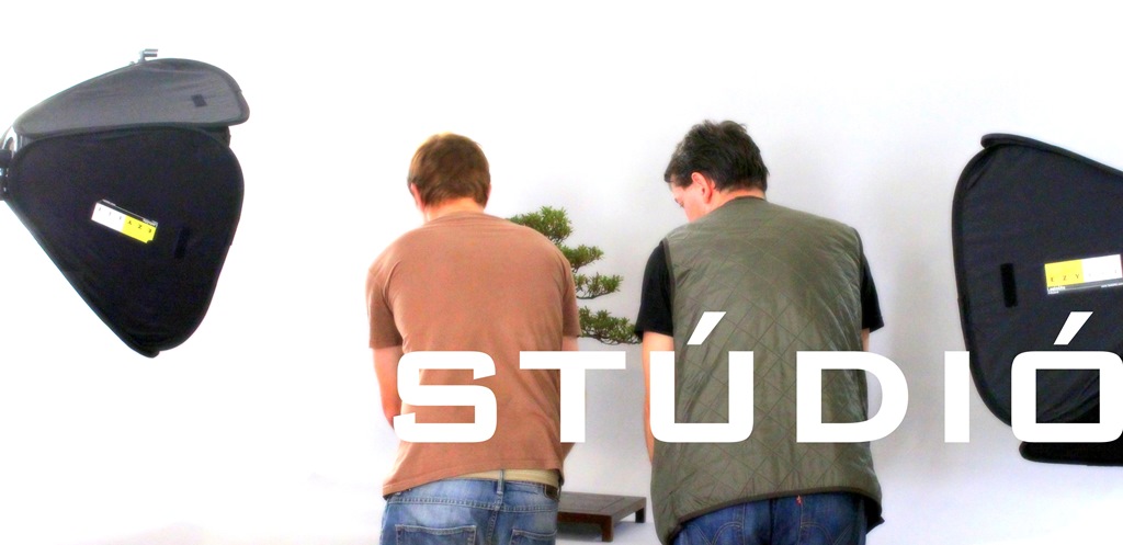 bonsai kerteszet erden studio munka a marczika bonsai studioban